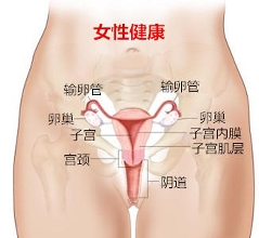 女性子宫内膜症会引起不孕吗